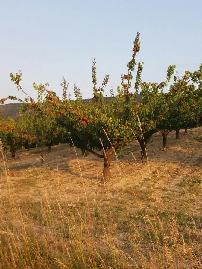 Gite Les Trois Abeilles Bésignan Eksteriør billede